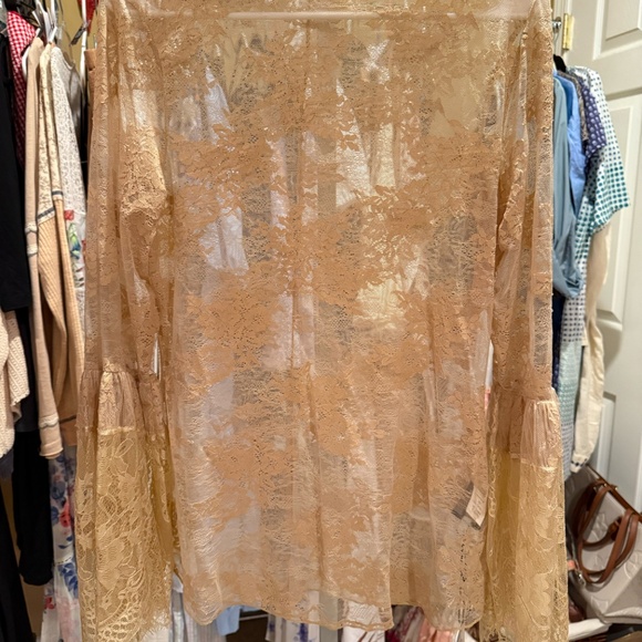 Jaded Gypsy- sheer Garden Tea Lace Top ***has a few small holes*** - Picture 2 of 4